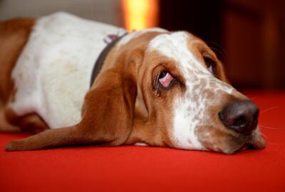 /pf/resources/images/abc-placeholder.png?d=2420