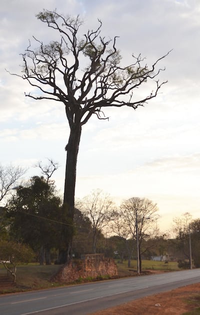 /pf/resources/images/abc-placeholder.png?d=2394