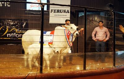 /pf/resources/images/abc-placeholder.png?d=2393