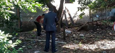 Criaderos de mosquito