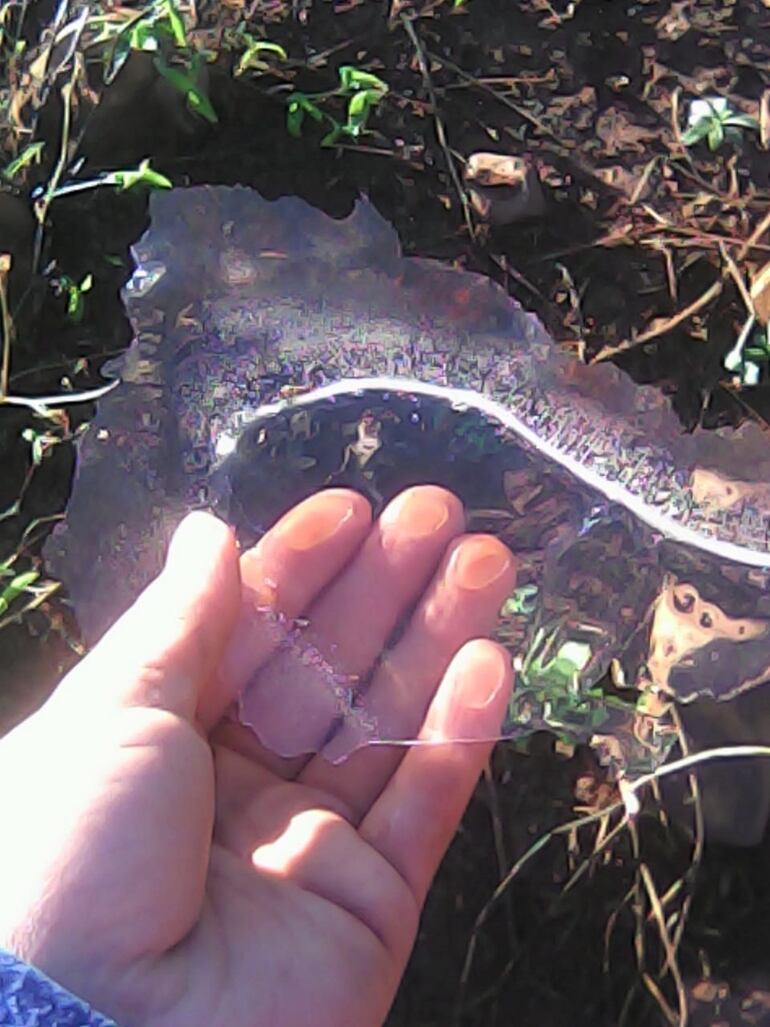 Las primeras heladas llegaron al sur del país.