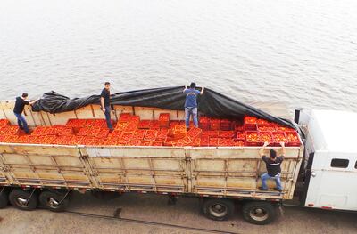 /pf/resources/images/abc-placeholder.png?d=2395