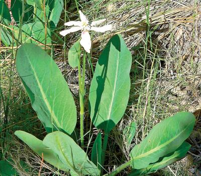 Imagen sin descripción