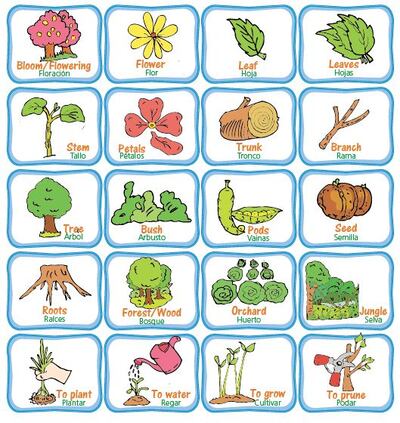 /pf/resources/images/abc-placeholder.png?d=2395