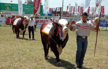 animales-de-excelente-calidad-genetica-estan-en-exposicion-en-la-feria-que-se-extendera-hasta-el-domingo-en-coronel-oviedo--210659000000-606602.jpg