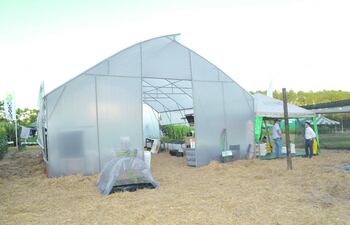 plasticos-para-produccion-agropecuaria-85515000000-1542515.JPG