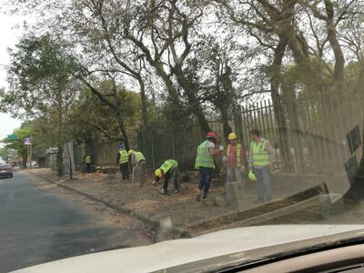 Obreros trabajando en el Jardín Botánico hoy.