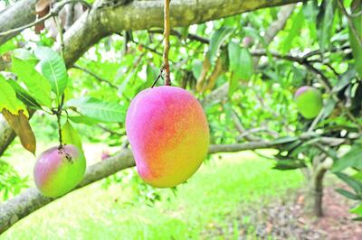 /pf/resources/images/abc-placeholder.png?d=2420