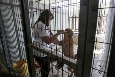 /pf/resources/images/abc-placeholder.png?d=2425