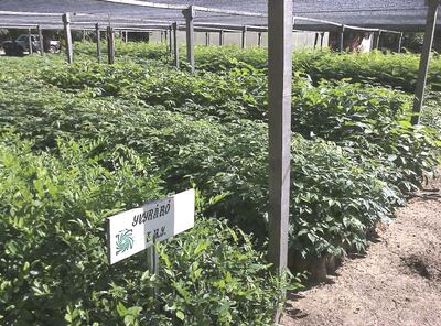 /pf/resources/images/abc-placeholder.png?d=2395