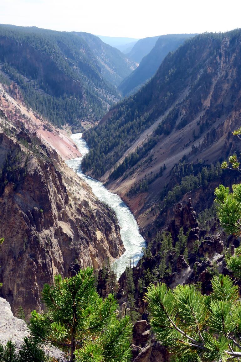 Desde lo que se conoce como el "South Rim Trail" la vista es insuperable: allí los visitantes pueden apreciar todo el panorama del Gran Cañón del parque.
