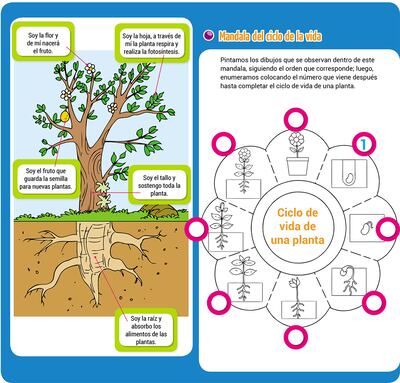 Soy una planta y tengo algo que contarte