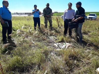 /pf/resources/images/abc-placeholder.png?d=2394