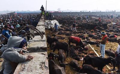 /pf/resources/images/abc-placeholder.png?d=2402