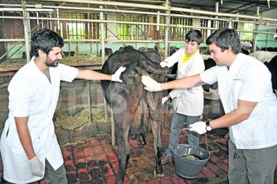 /pf/resources/images/abc-placeholder.png?d=2421