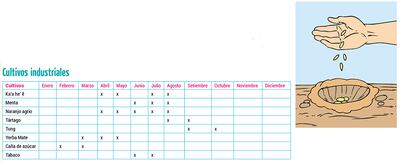 Técnicas agrícolas (5): calendario de siembra
