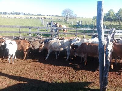 /pf/resources/images/abc-placeholder.png?d=2395