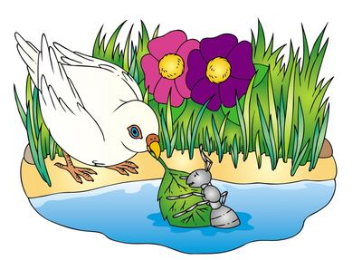 Imagen sin descripción