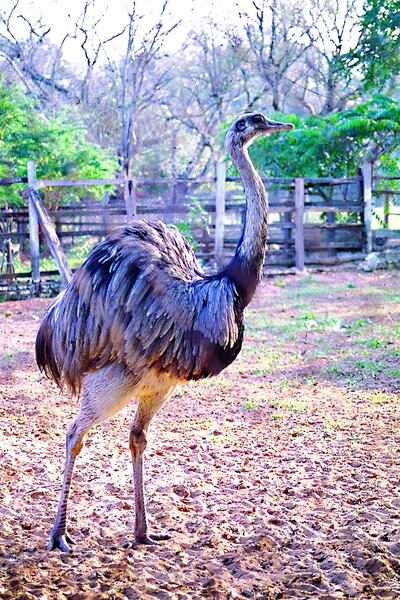 /pf/resources/images/abc-placeholder.png?d=2420