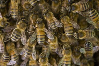 /pf/resources/images/abc-placeholder.png?d=2429