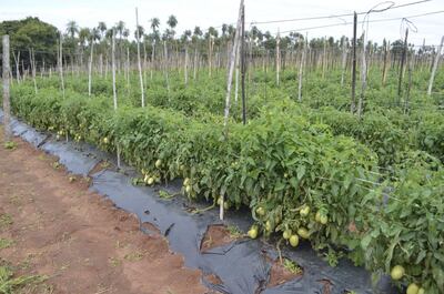 /pf/resources/images/abc-placeholder.png?d=2402