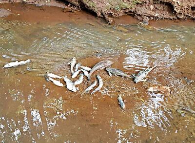 /pf/resources/images/abc-placeholder.png?d=2421