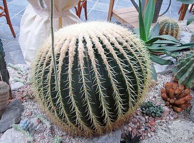 Imagen sin descripción