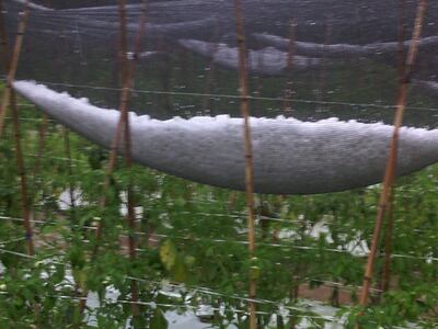 /pf/resources/images/abc-placeholder.png?d=2433