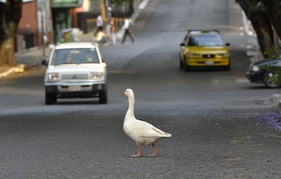 /pf/resources/images/abc-placeholder.png?d=2421