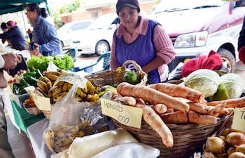 frutas-y-hortalizas-frescas-en-la-feria-del-shopping-coronel-oviedo-214646000000-1354499.jpg
