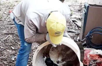Electrodomésticos abandonados en los patios se convierten en mortales criaderos del mosquito transmisor del dengue.