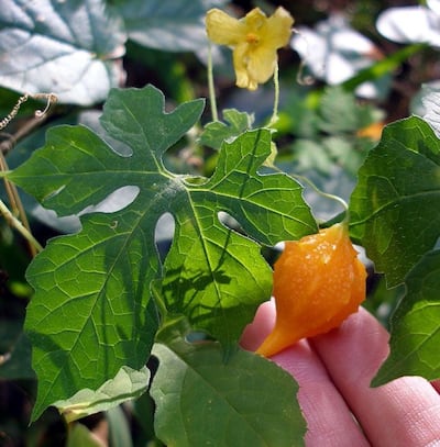 /pf/resources/images/abc-placeholder.png?d=2425