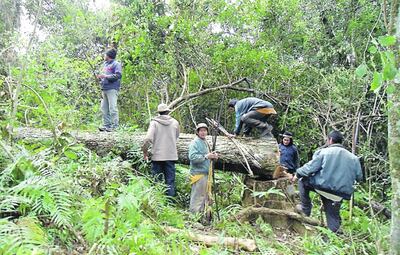 /pf/resources/images/abc-placeholder.png?d=2393