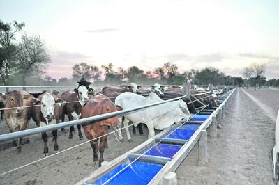 /pf/resources/images/abc-placeholder.png?d=2420