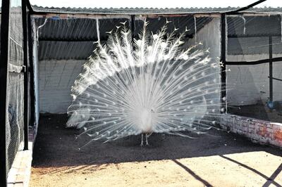 /pf/resources/images/abc-placeholder.png?d=2420