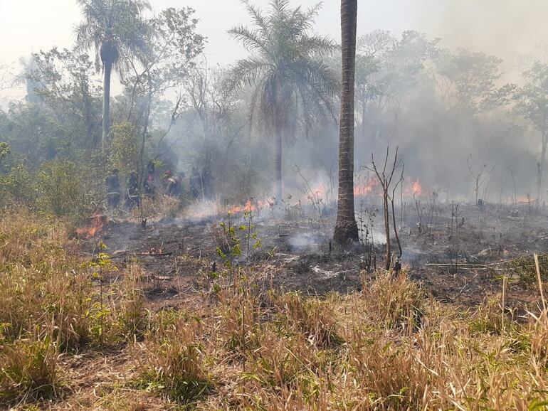 Incendios en Cerro Corá y Cerro Verde.