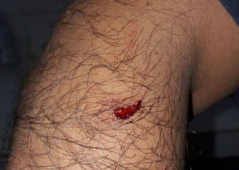 Imagen sin descripción