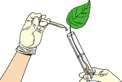 Industrialización de productos agropecuarios