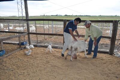 /pf/resources/images/abc-placeholder.png?d=2395