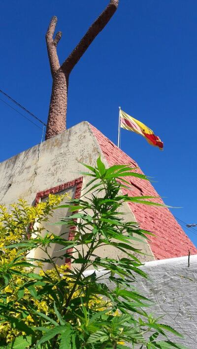 /pf/resources/images/abc-placeholder.png?d=2395