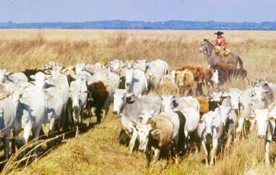 /pf/resources/images/abc-placeholder.png?d=2399