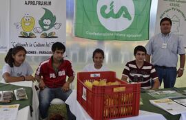 stand-expo-ases-misiones-191751000000-1069948.JPG