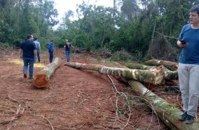 La deforestación es uno de los delitos ambientales más cometidos cada año, indicaron desde el Mades.