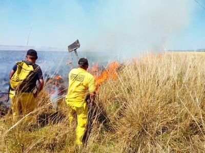 Un incendio de pastizal consume campos de Paraguarí.