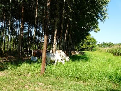 /pf/resources/images/abc-placeholder.png?d=2421