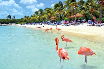 /pf/resources/images/abc-placeholder.png?d=2393