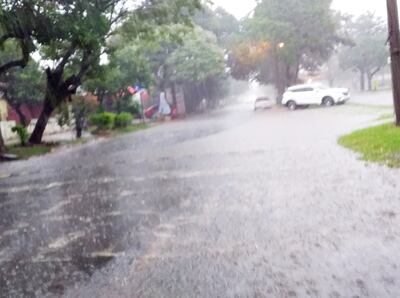 Una lluvia mansa y de buen volumen se registró ayer en  distritos del departamento de Misiones.