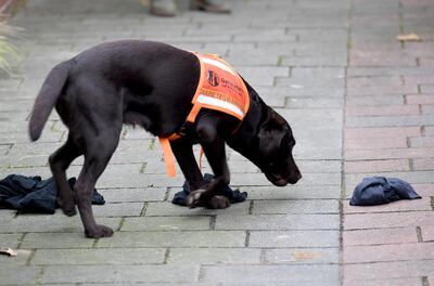 /pf/resources/images/abc-placeholder.png?d=2393