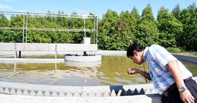 El ingeniero Ricardo Velázquez dice que personalmente hace un control organoléptico tres veces a la semana a la entrada y salida a la planta de tratamiento.