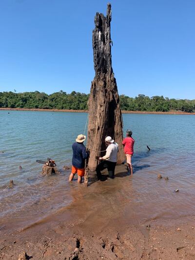 Los frentistas del lago Acaray realizaron extracción de troncos y juntaron basura.